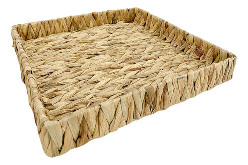 1879 Seagrass Natural Fiber Large Square Tray 0