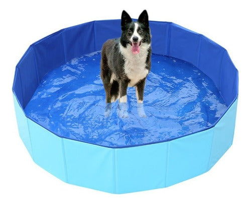 Piscina De Banho Dobrável Pet Para Cachorros 3