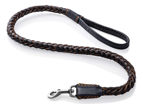 FOVRLZSE Leather Dog Leash, Training Leash 0