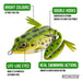 Lunkerhunt Lunker Frog - Freshwater Fishing Lure, Realistic Design, Green Tea 5