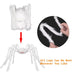 Generic Tarantula Spider 1.50 Mts Halloween Decoration Party 2