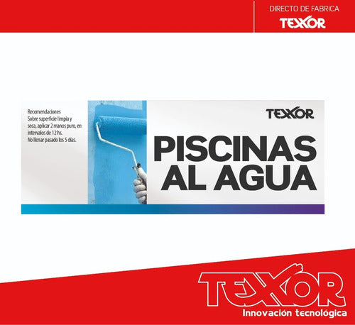 Pintura Piscina / Piletas Al Agua 20 L. Estandar.  Texxor 1