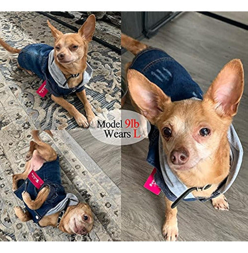 Generic Ropa Para Mascotas, Chaqueta De Mezclilla Con Capucha Azul Fresco 2