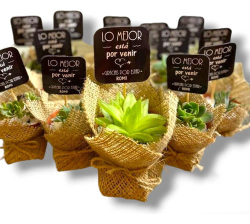 Isiflor 60 Mini Succulents with Burlap and Sign for Events 0