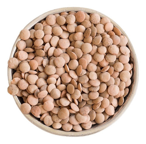 Naccato Premium Lentils X 25 Kg Distributor Price 0