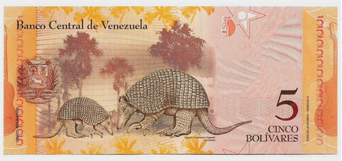 Fk Billete Venezuela 5 Bolivares 2013 Sin Circular 1