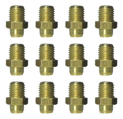 Orbis 12 Picos Inyectores Para Caldera Gas Natural 0
