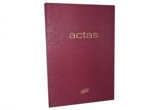 Rab Actas Book Cod. 2221 1