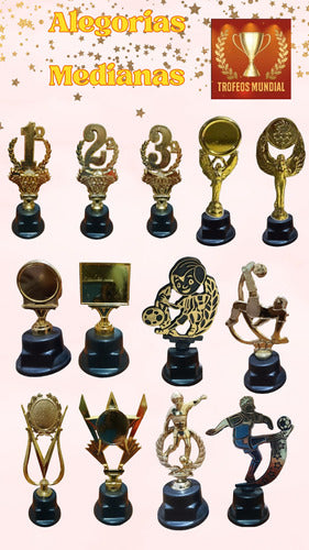 Trofeo / Todos Los Deportes / 20cm / Base Plastica / Oro 3