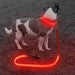 CC LED Light Collars for Pets - Rechargeable XS-S-M 3