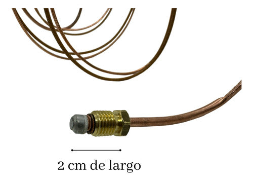 Orbis Original Oven Thermocouple 958 3