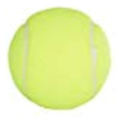 Penn Championship Extra Duty Tennis Balls - Felt Canister of 3 1