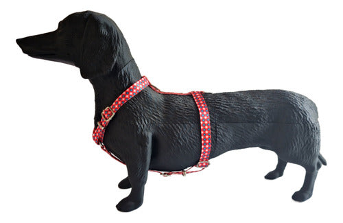 Adjustable Small Size Harness for Small Breeds - Mini Poodles, Dachshunds 2