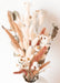 Momantai Decoración Artesanal Ramo Éowyn - Dried Flower Bouquet - Dried Flowers Decoration 0