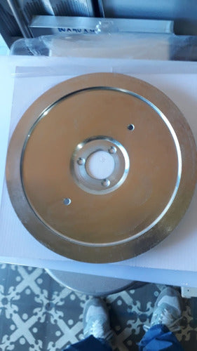 Kuma 30 Cm Diameter Blade for Slicing Machine 3