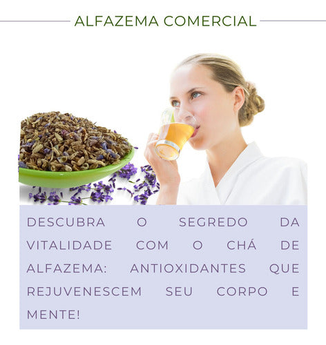 2 Pacotes Chá De Alfazema Comercial | Lavandula Officinalis 3