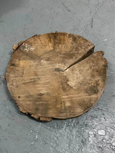 Naturaleza Log Slices with a 25Cm Diameter 6