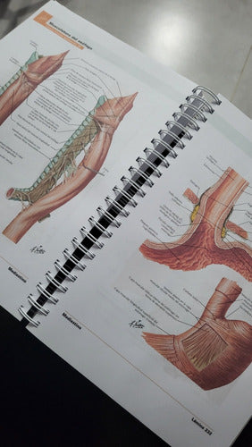 Anatomic Atlas De Anatomía Humana 2