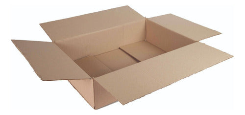 Reinforced Shipping Boxes E-commerce 30x20x10 Set of 20 0