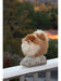 Aurora World Miyoni Pomeranian Plush 1