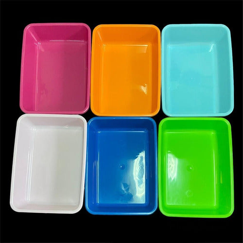 Gastronomic Tray 30x40x10. 10 Units Color Choice 6