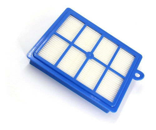 Hepa Filter for Electrolux Oxygen Excellio Vacuum 0