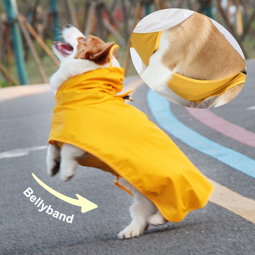 Poncho Ao Ar Livre Transparente Com Capa De Chuva Poncho Dog 2