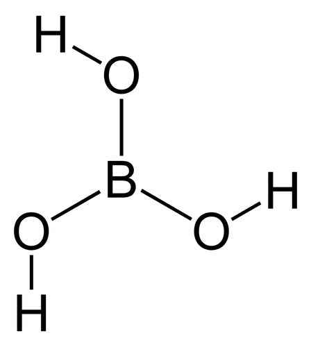 Acido Borico Fertilizante  X 1 Kg 2