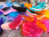 Assorted Colorful Feathers 10 Cm 1