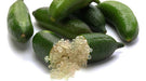 La Huertina Garden: Citrus Caviar Plant - Finger Lime - Grafted 1