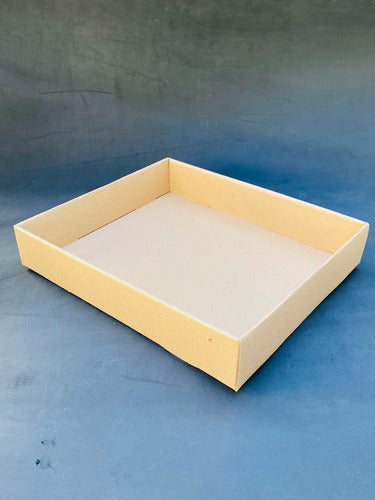 Pack of 30 Microcorrugated Cardboard Trays 34x29x6 cm 1