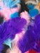 Assorted Colorful Feathers 10 Cm 3