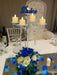 Set of 10 Centerpieces for 15th Birthday or Wedding Celebration 3