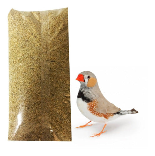 Exotic Birds Seed Mix - Diamonds, Manons, Parakeets, Calafates 7.5kg 0