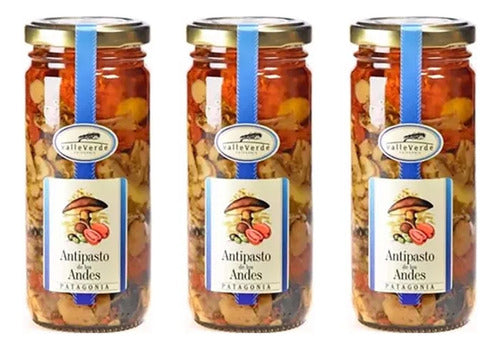 Valle Verde Andes Antipasto 210g x3 Units 0