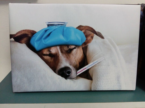 CubikCuadros 20x30cm Sick Dog Veterinary Thermometer Frame 0