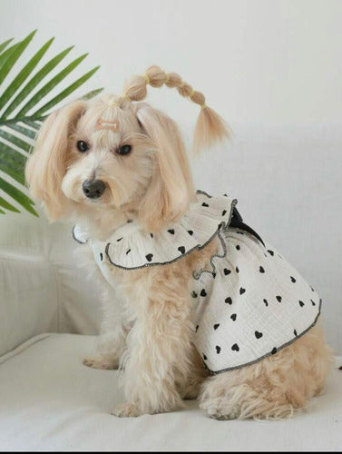 Vestido De Mascota Con Estampado De Corazón. 6