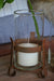 Cylindrical Iron Candle Holder with Glass Vase 1