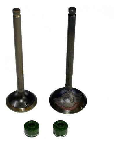 Honda TRX 200 Fourtrax Intake and Exhaust Valves with Seals Set of 2 0