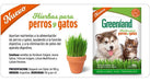 Greenland Cat and Dog Edible Grass 2 Packs of 100g 3