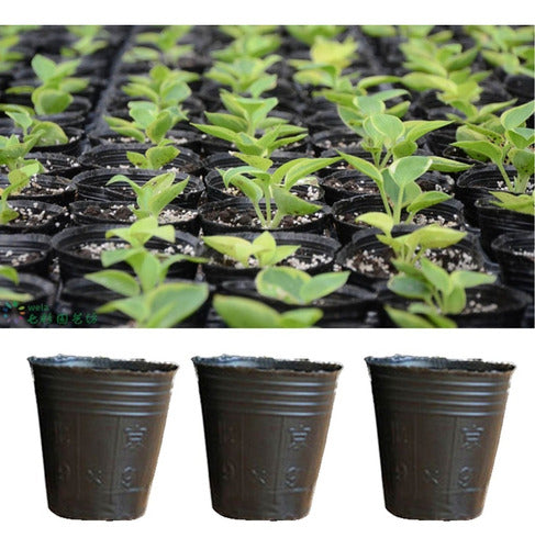 Maceta Pack 100 Disposable Plant Pots for Bushes and Trees 2 L 3