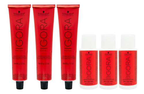 Schwarzkopf Igora Royal Hair Color Tint + 60 mL Developer Kit X 3 1