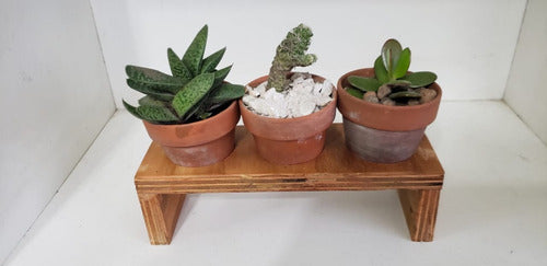 Artesanal Plant Holder for Cactus and Succulent - Double Wood with Pots 4