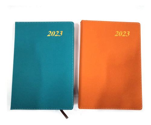 Agenda 2024 Tapa De Pu Varios Colores Lisa Flaber 1