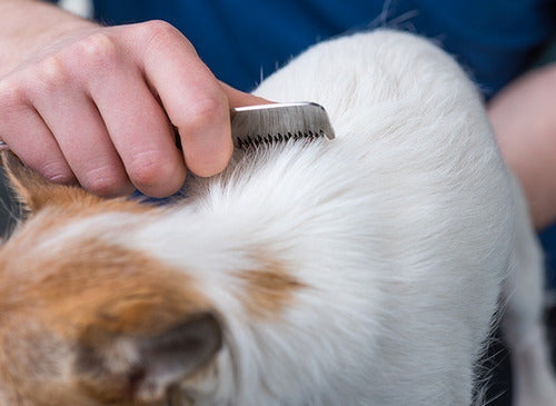 Cuchillas Stripping Perros Peluqueria Cortadora De Pelo X2 6