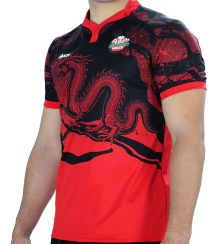 Imago Camiseta De Rugby Adultos Tela Premium Gales 2023 4