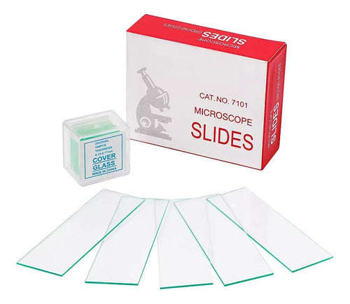 Labz - Common Frosted Edge Sample Holder (Box of 50 Units) 0