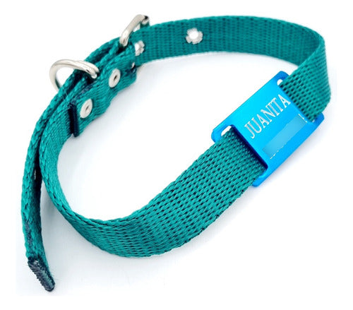 MEDALLAS PARA PERROS Turquoise Dog Tag with Dark Green Collar 0