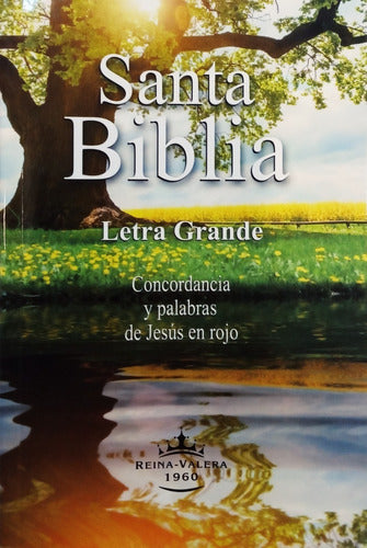 Biblia Reina-valera 1960 Letra Grande Tapa Rústica 1