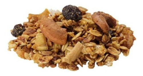 Kit 3 Granola Tradicional Castanha Coco Pote 350g Cada 1